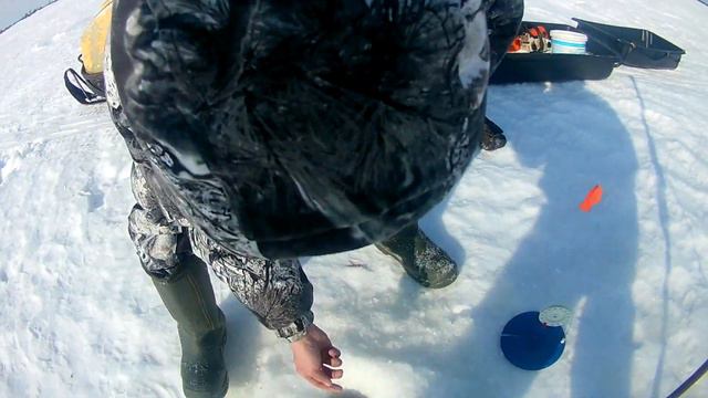 Рыбалка на болотных озерах. смотреть онлайн