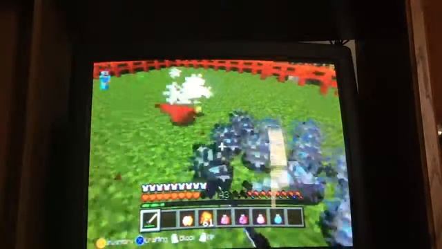 Silverfish Challenge Games смотреть онлайн