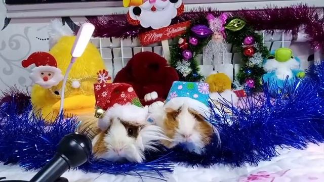 Мотя тётя рассказывает стишки на новый год. смотреть онлайн