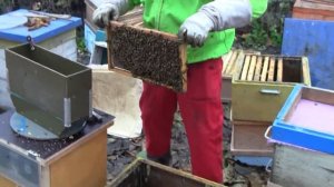 Термокамера Орлова Д.В. Термообработка. Ящик для сбора пчел в кассету.