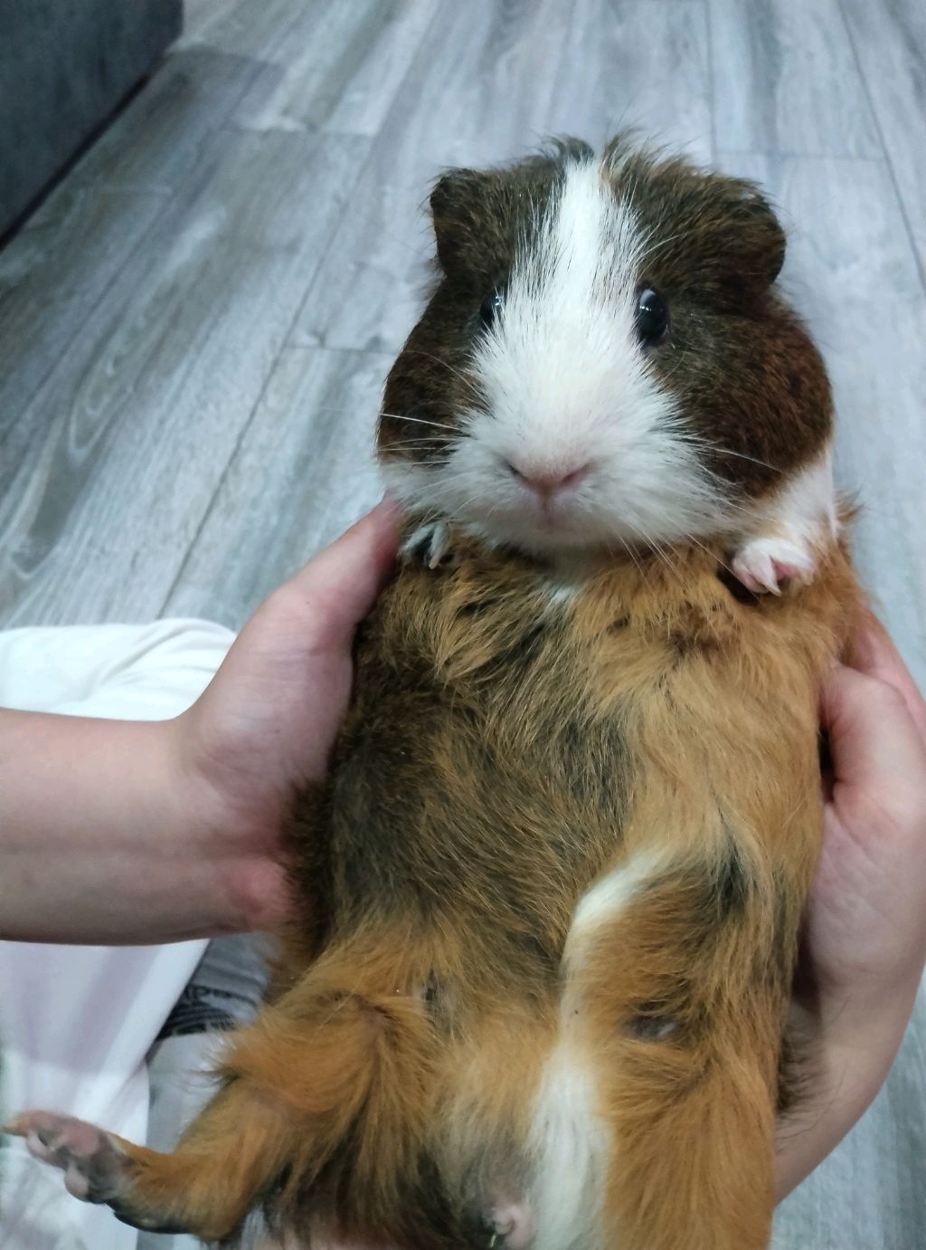 🫠 смотреть онлайн