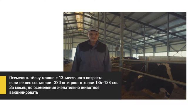 Молочное скотоводство. Точечные рекомендации зарубежного эксперта смотреть онлайн