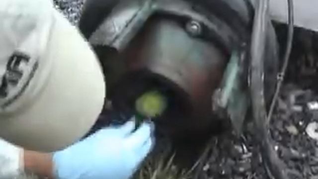 Homa Vortex Pump.avi