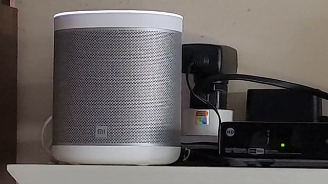 REVIEW: Xiaomi Smart (Google Home) Speakers--How To Set Up Into Stereo;Cast Audio From Other Device