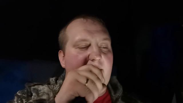 Петлюра - Парень в кепке и зуб золотой (Кавер) по просьбе ГазелистаРФ смотреть онлайн