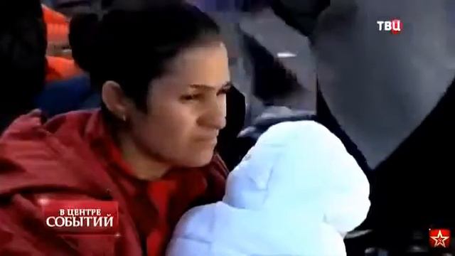 600 миллионов евро за карпатский лес смотреть онлайн