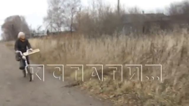 Свиньи, сбежавшие от фермера - имя которого боятся произносить, одичали и разорили огороды в деревн смотреть онлайн