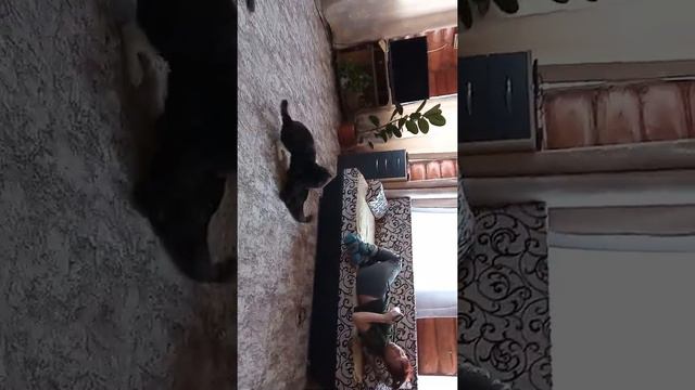 Бой без правил - день 1 смотреть онлайн