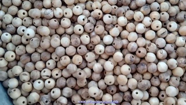 Making Tulsi Mala/Japamala (Rosary) मेकिंग तुलसी माला смотреть онлайн