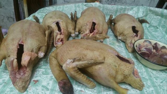 Забой индоуток зимой в 4.5 месяца.