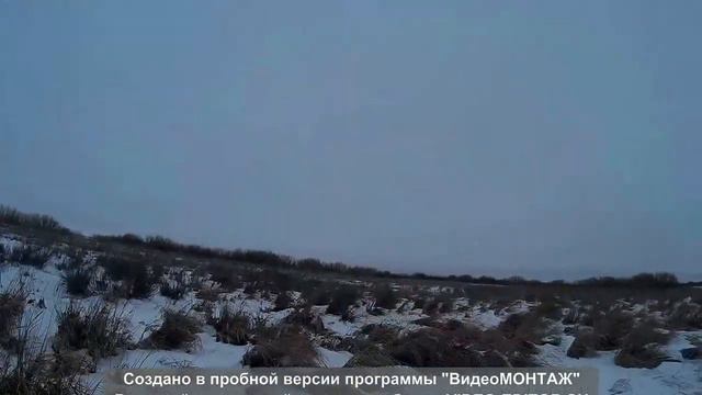 Охота на зайца в Казахстане(5) 15122015 смотреть онлайн