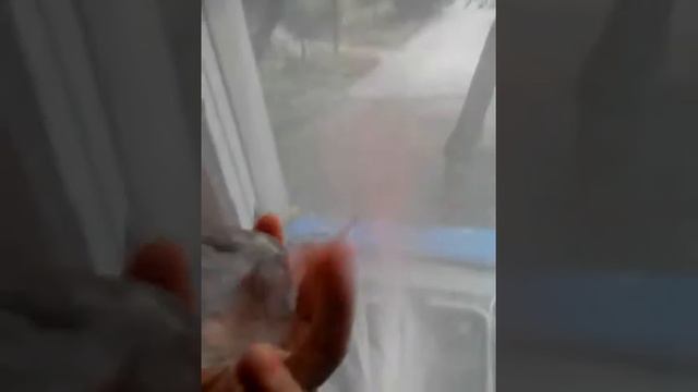 Что нашла у брата под кроватью! смотреть онлайн