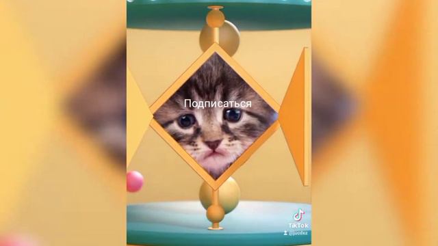 МНЕ ИЗ ТАК ЖАЛКО😢 ставь ЛАЙК если тоже😭😭😭