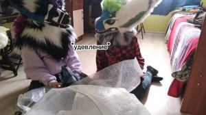 Распаковка американского скалл дога/american skull dog unboxing