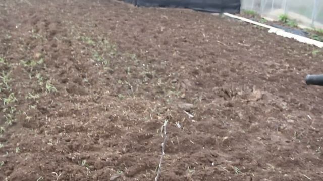 Мой помощник культиватор. смотреть онлайн