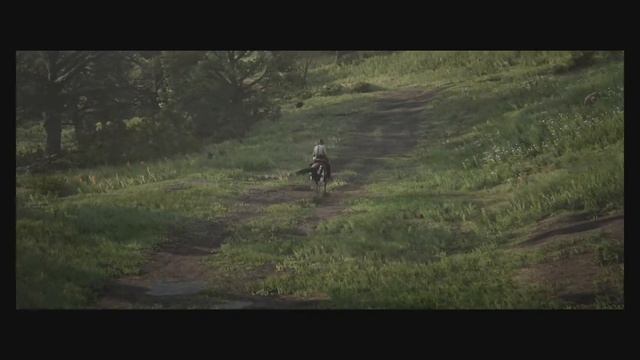 Как в Red Dead Redemption 2 включить автопилот? смотреть онлайн