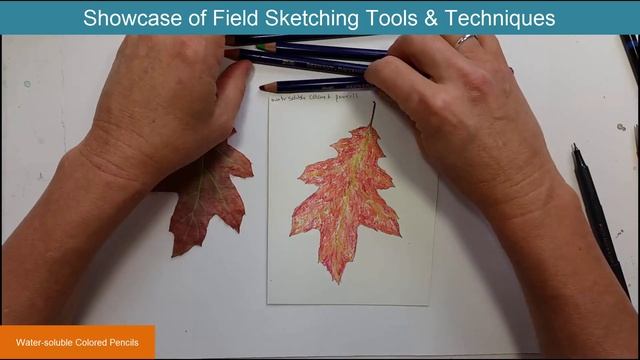Showcase of Field Sketching Tools and Techniques смотреть онлайн