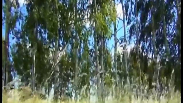 Русское поле смотреть онлайн