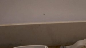 Быстро и эффективно чистим систему подачи воды в бачке унитаза.