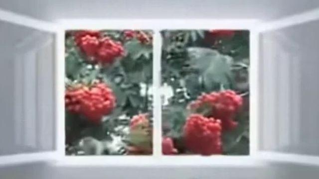 Поздняя рябина Стихи Тахир Сувханов, муз и исп Самуил Фрумович смотреть онлайн