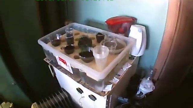 Kk работаем мы так