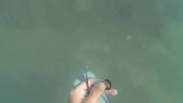 Подводный поиск #24: Для поиска монет прибор не нужен! смотреть онлайн