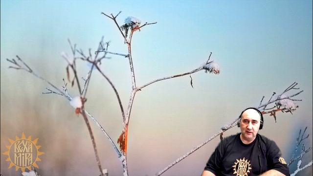 Необходимость организации общественных процессов смотреть онлайн