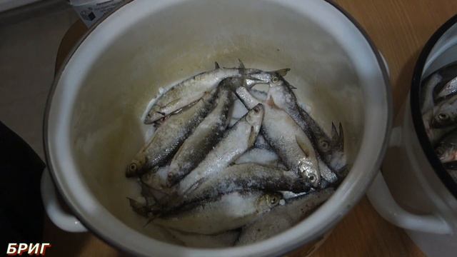 Уклейка вяленая смотреть онлайн