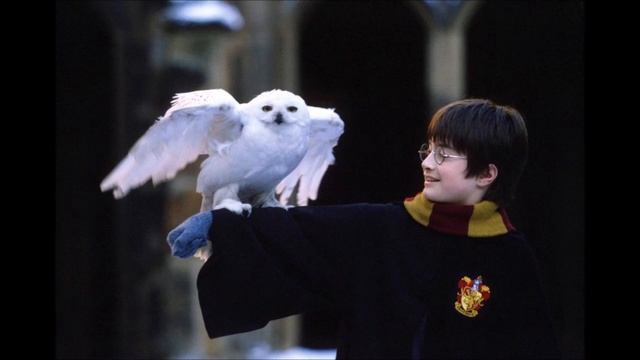 HARI POTER I KAMEN MUDROSTI