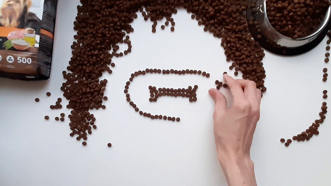 Корм Probalance Immuno Adult Mini смотреть онлайн