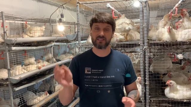 Подкислитель для бройлера, выращивание бройлера летом, бизнес на бройлере кобб 500 смотреть онлайн