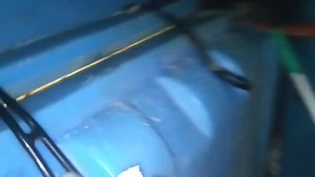 Выгрузка мальков форели радужной в г. Рязань! смотреть онлайн