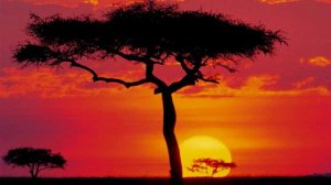 Come To Me - Vangelis (Come To Me @ The Sunset)