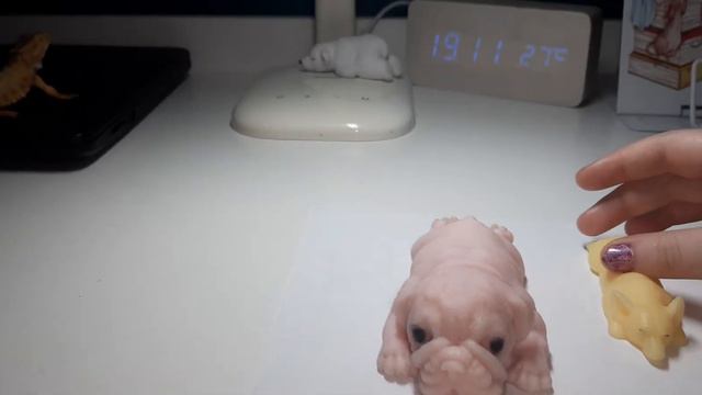 силиконовые собачки смотреть онлайн