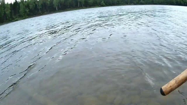 Рыбалка на спиннинг на реке Бия. смотреть онлайн