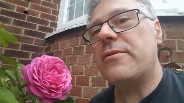 ebb tide róża смотреть онлайн