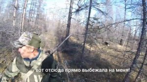 Охота на косулю в Якутии 2019