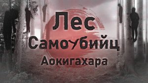ПУГАЮЩИЕ ТАЙНЫ ЛЕСА АОКИГАХАРА (feat. Solek)