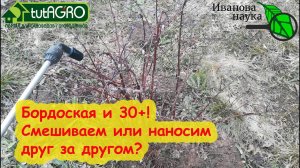 ИСКОРЕНЯЮЩАЯ ОБРАБОТКА ЗА 1 РАЗ. Смешивание препарата 30+ и бордоской жидкости. Можно или как?