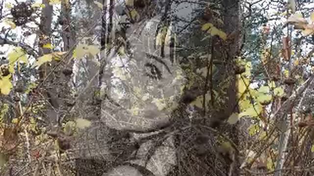 Калина красная-Ольга Макарова (ор.М.Шуфутинский) смотреть онлайн