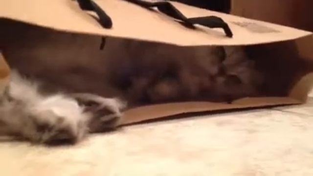 Чур, я в домике!) смотреть онлайн