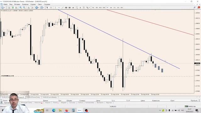 Аналитика рынка с Дмитрием Шляпкиным 28 августа. Основные мажорные пары и тренды смотреть онлайн