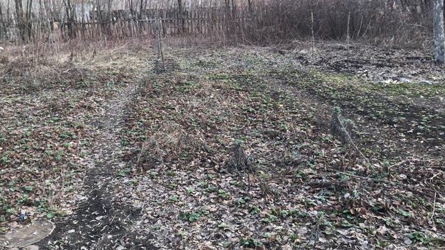 Весенний обзор дачного участка. Уборка и планы на сезон смотреть онлайн