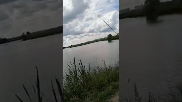 Ловля карася на Кузьминском водохранилище смотреть онлайн