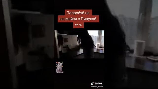 Пипука эдисон и чайник❤️ смотреть онлайн