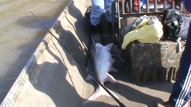 GS141 Первая наша рыбка методом трала. смотреть онлайн