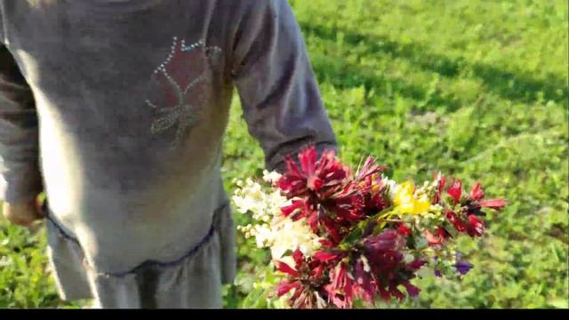 Отдых на природе. Игры: футбол, прятки. смотреть онлайн