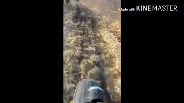 Муравей валит , покатуха по жеской грязи смотреть онлайн