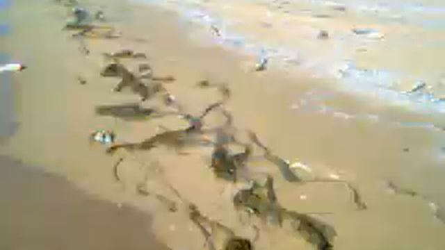 Г форт шевченко смотреть онлайн