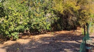 город Кармиэль. Часть 2. Аренда жилья и зима в городе